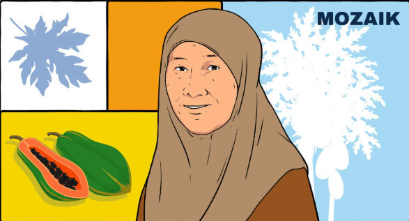 Pepaya California yang Sebenarnya Asli Indonesia: Kisah Pilu Ilmuwan di Balik Rebranding
